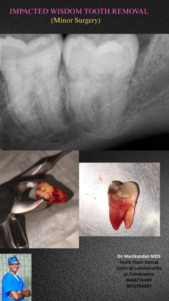 WhatsApp Image 2025-11-05 at 10.54.38_58908aa3(1)